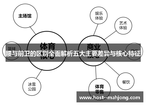 腰与前卫的区别全面解析五大主要差异与核心特征
